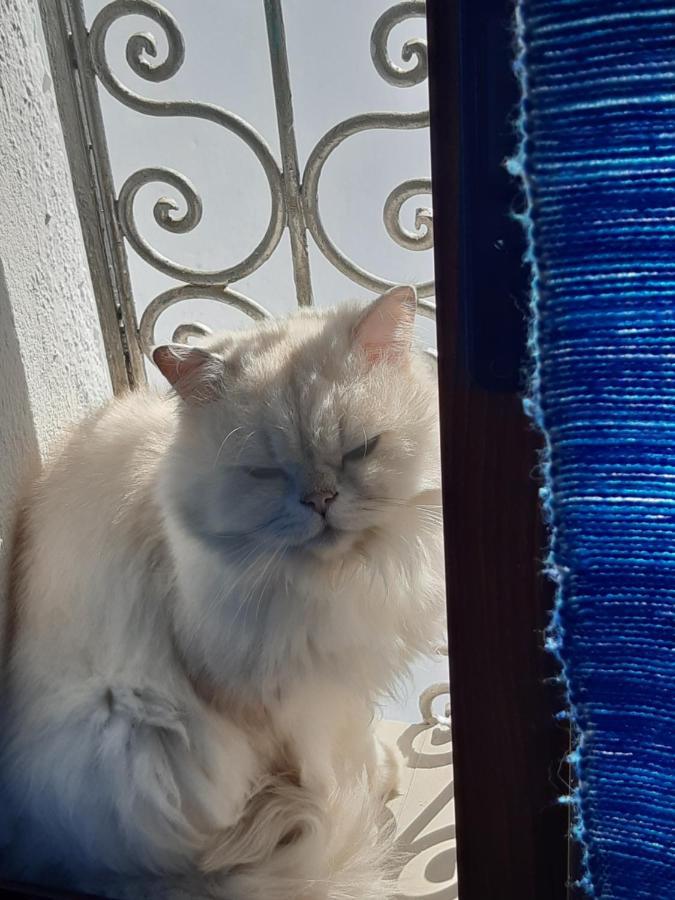 Hotel Casa Miguel Chefchaouen Εξωτερικό φωτογραφία
